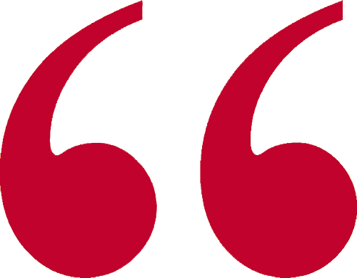 Image result for guillemets