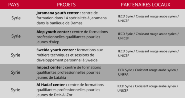IECD Syrie formation professionnelle