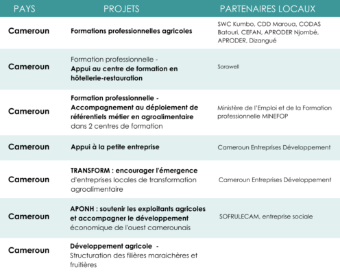 Projets IECD au Cameroun
