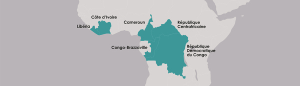 IECD en Afrique