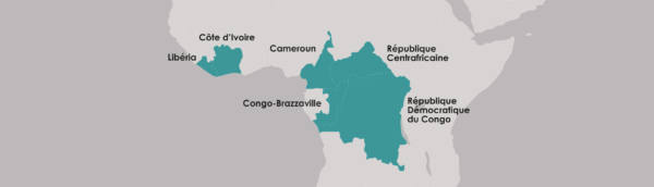IECD en Afrique Subsaharienne