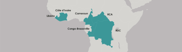 IECD en Afrique