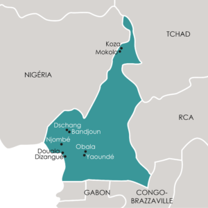 Afrique Subsaharienne : Cameroun - iecd