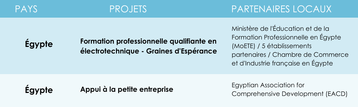 Projets IECD en Égypte