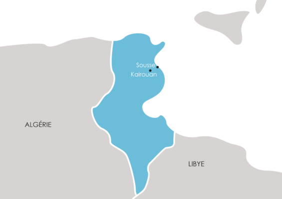 Carte IECD Tunisie