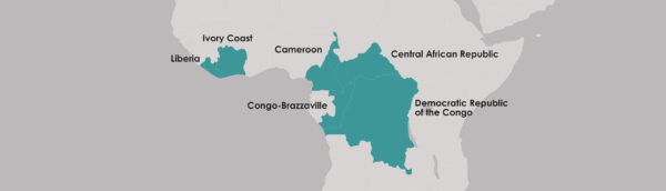 IECD in Africa